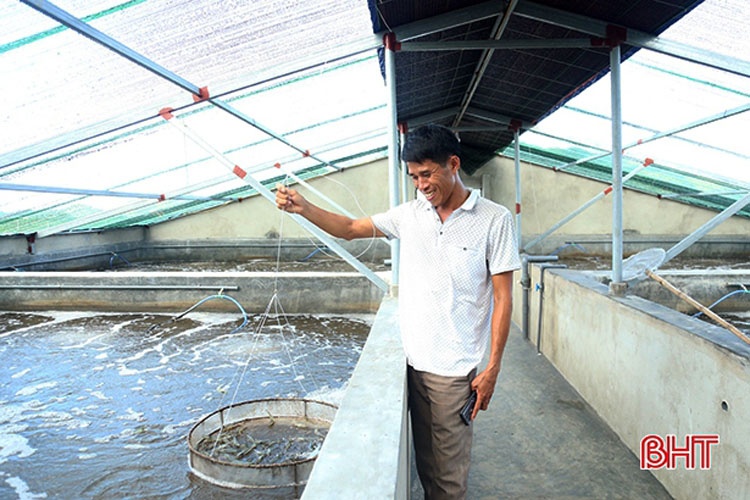 Xác định nuôi tôm là một trong những hướng đi chủ lực trong phát triển nông nghiệp, Hà Tĩnh tiếp tục đẩy mạnh nuôi tôm thâm canh công nghệ cao tại nhiều địa phương.